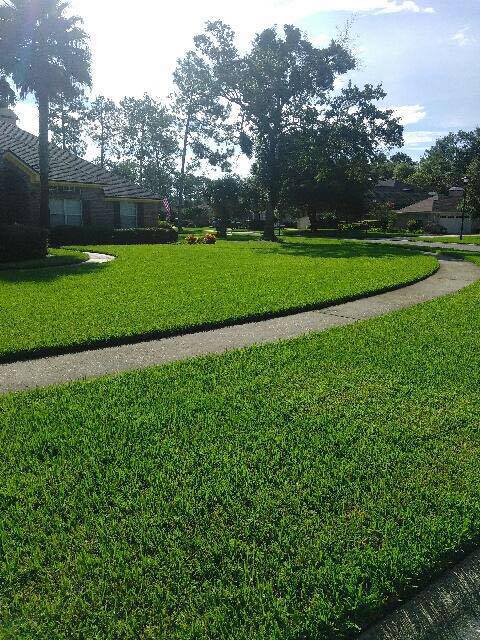 Fertilization, pest control, fungus control, San Pablo rd. Jacksonville fl.