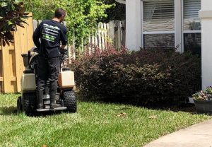 Fertilization of St. Augustine Grass