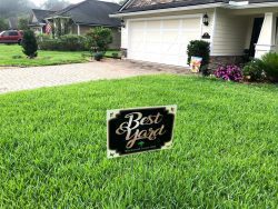 Best lawn award