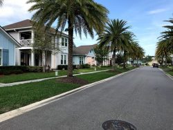Commercial Lawn Fertilization