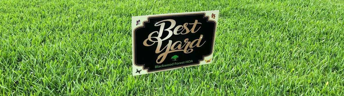 Best Lawn