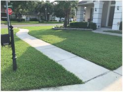 St. Augustine- Nocatee