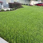 lawn treatment