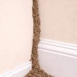 termite tube