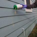 Granular pest control