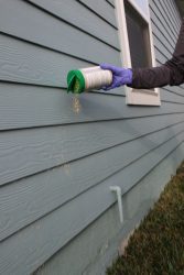 Granular pest control