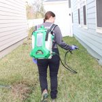 exterior pest control