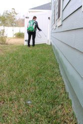 Perimeter pest control Spraying