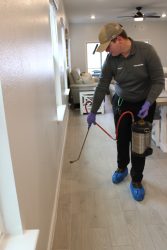 Inside spot pest control spray