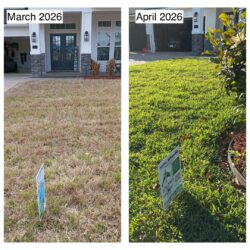 Before and after photo of winter damage