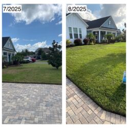 Before and after photo of chinch damage