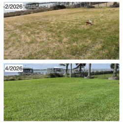 Before and after photo of winter damage